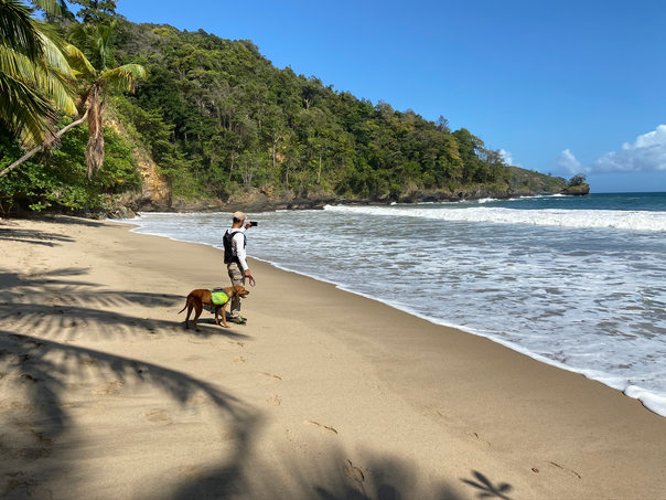 Man and his dog at Mal D'Estomac Bay, Trinidad