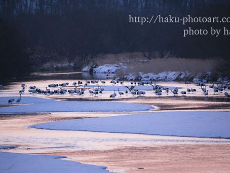 大地と生命と鶴と