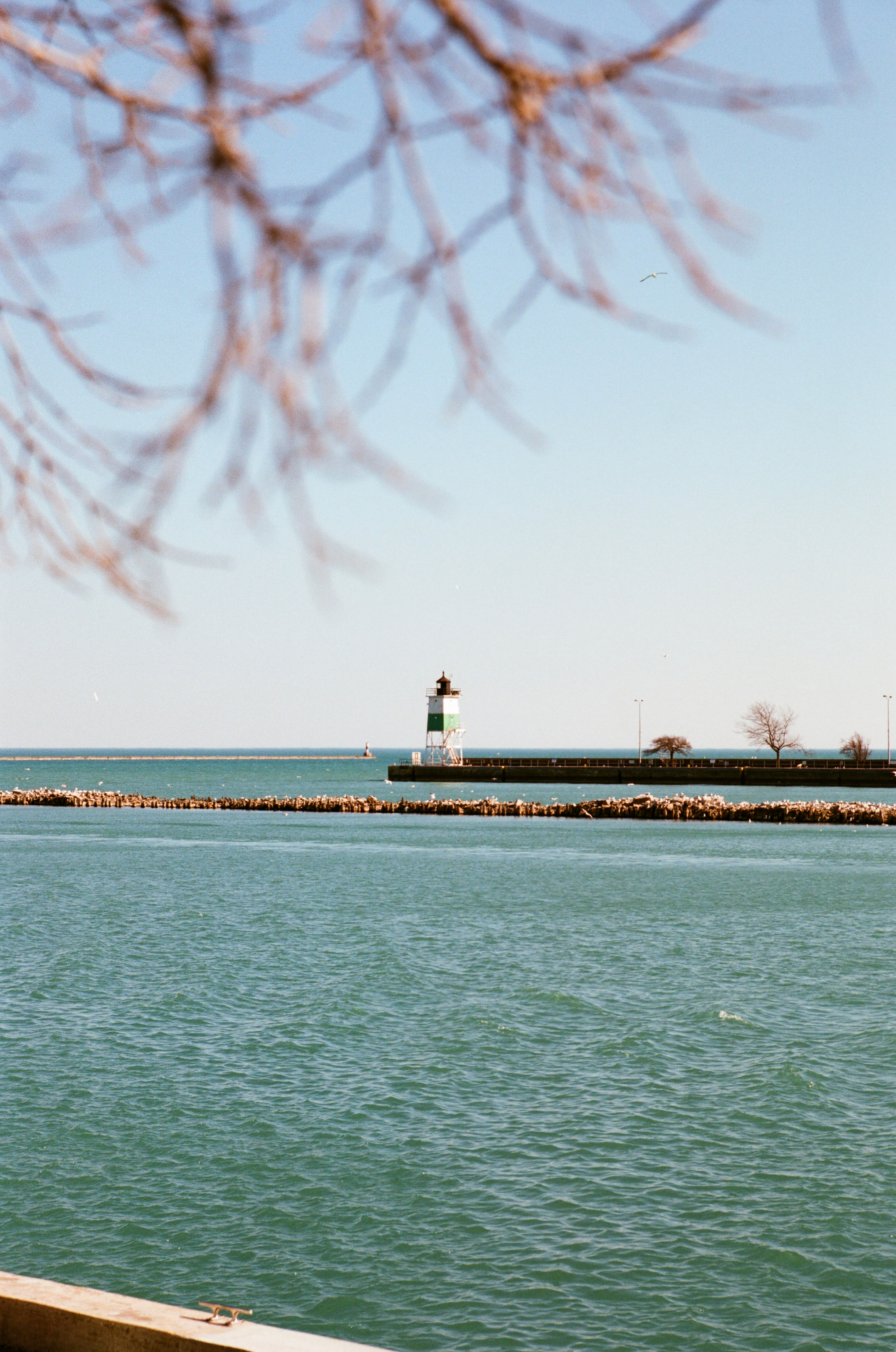Sailor's Guide - 35mm Print