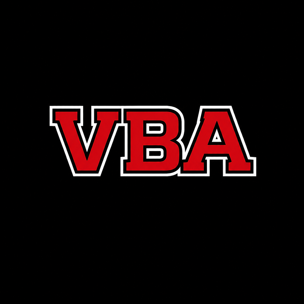 Valley Baseball Academy logo