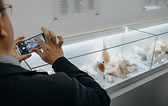 E27A8532.jpg