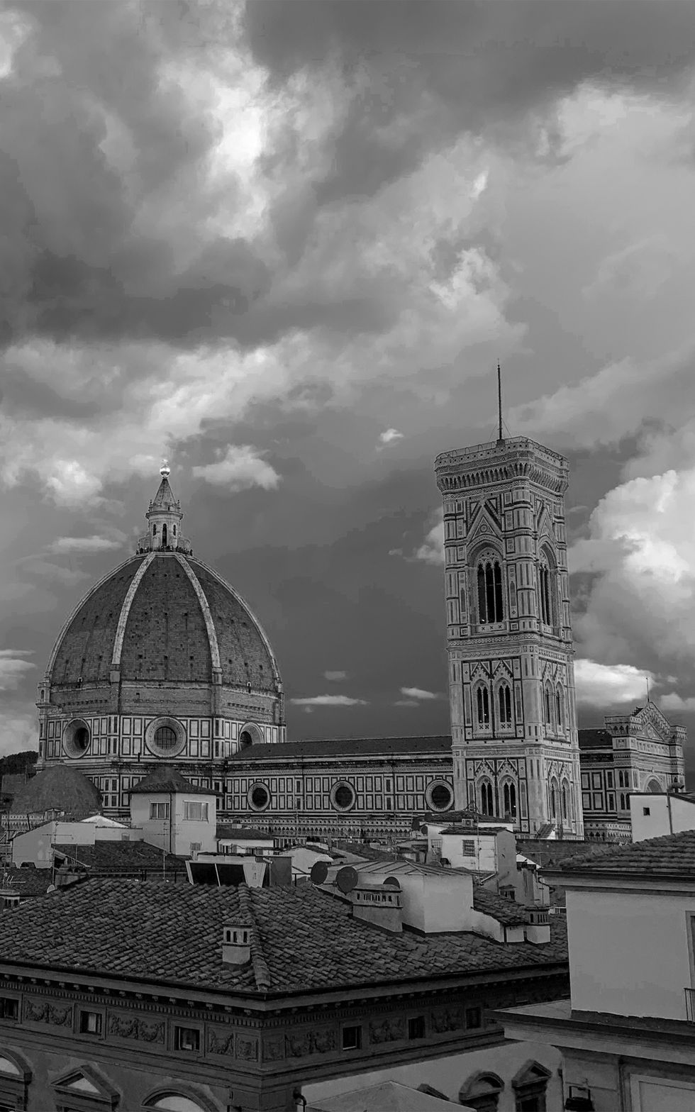 Black-and-white reference photo