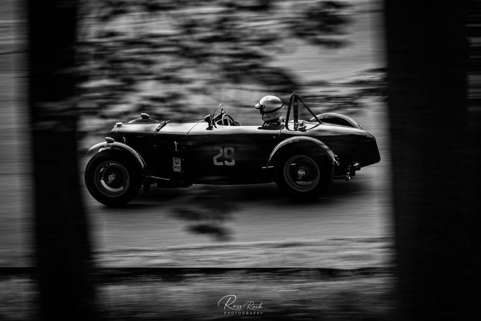 Through the trees