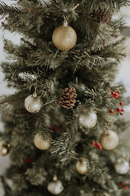 estudio-wild-curitiba-ensaios-de-natal-fotos-autorais-11.jpg