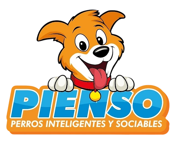 sin fondo.png
