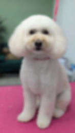 PXL_20251018_092003384.PORTRAIT