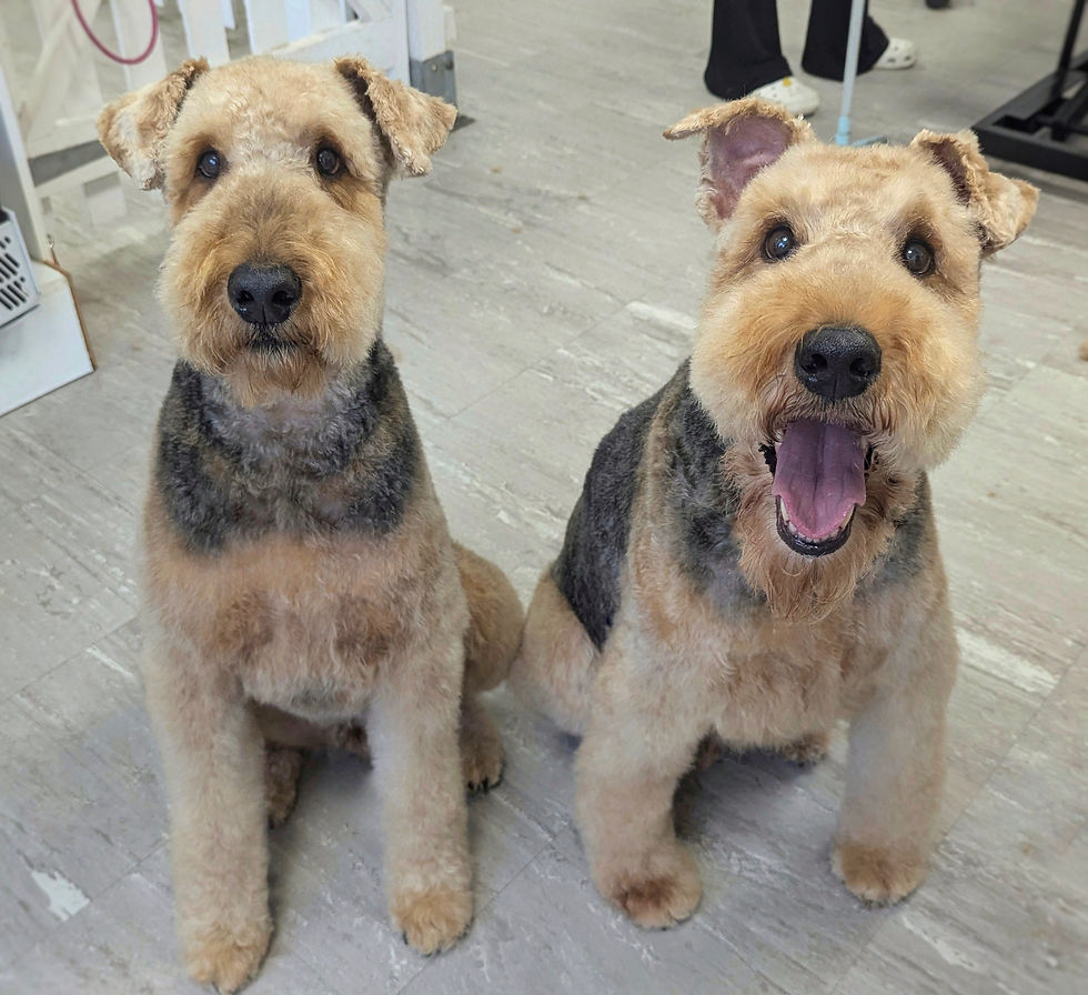 PXL_20251015_150544455