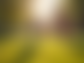 Restoration Initiatives for Johnstown's Vibrant Community