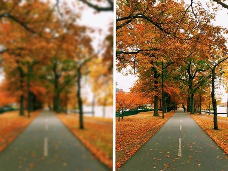 Top Reasons To Get LASIK This Winter