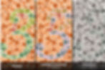 Color Blindness Test