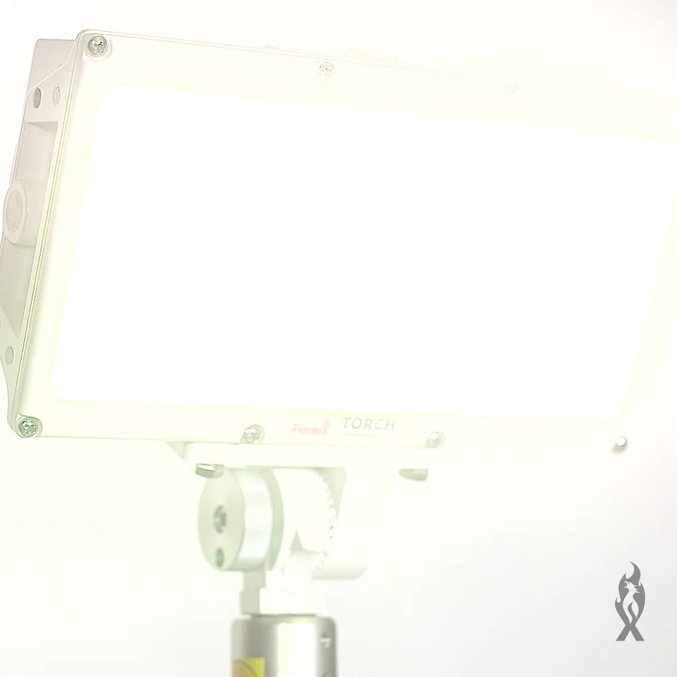 Thumbnail: Torch Pole Light