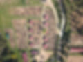 08032025-DJI_0029.jpg 08032025-DJI_0033.jpg 08032025-DJI_0035.jpg 08032025-DJI_0037.jpg 08