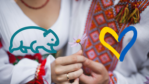 IDFree Insider: Freedom Fighters on Full Pay 🇺🇦