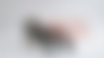 Black Friday Audience: The Pulse of Q4 Performance