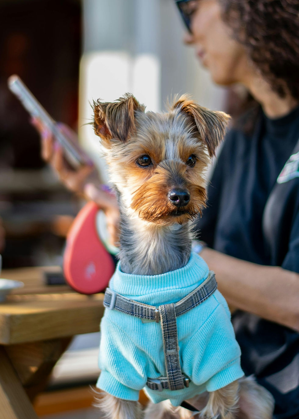 petowners_web (1080 x 1920 px).jpg