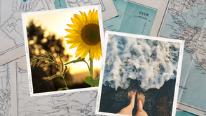 IDFree Insider: Hello Summer!