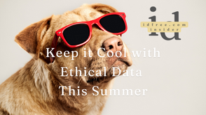 😎 ⛵ Keep it Cool with Ethical Data This Summer