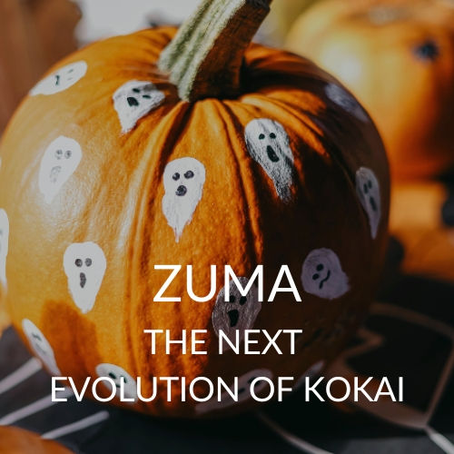 Zuma, the next evolution of Kokai