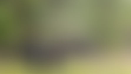 🇸🇪 Swedish Insights: Powered by 100% Fresh Data