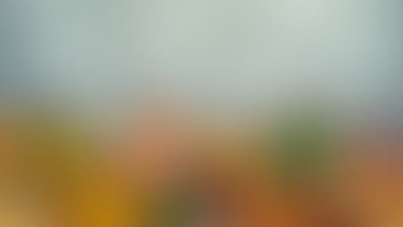 From Global Reach to Global Reality