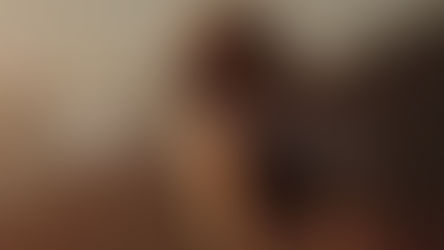 idfree insider: Your Monthly Newsletter 🔅