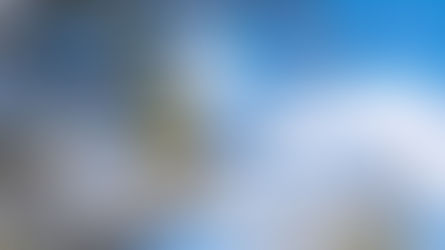 idfree insider: 🪻 When Visibility Fades, CTV Delivers