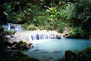 SUSTENTABILIDADE – UMA EXPERIÊNCIA PESSOAL