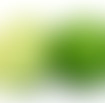 Nosso leitor comenta a “Dieta do limão”