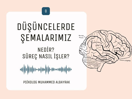 NEDİR BU HAYATIMIZIN BİR BÖLÜMÜNE AİT OLAN ŞEMALAR?