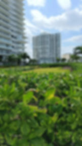 Proyecto residencial administrado por nuestro equipo de administración de condominios