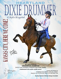 Heartland Dixie Drummer