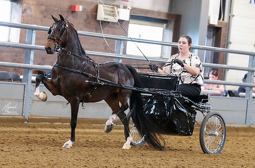 HRP-Mid-StatesHorseandPonyShow-2025-14-2