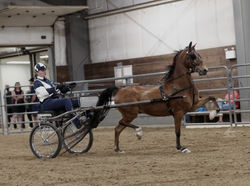 HRP-Mid-StatesHorseandPonyShow-2025-36-4webuseonly_edited_edited
