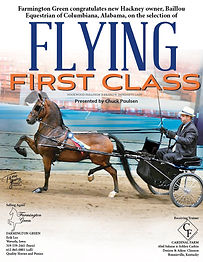 Flying First Class