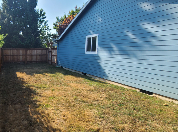 Side Yard.png