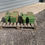 Thumbnail: 10x John Deere 50kg weights