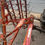 Thumbnail: Lely Tine Harrow