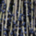 açaí.jpeg