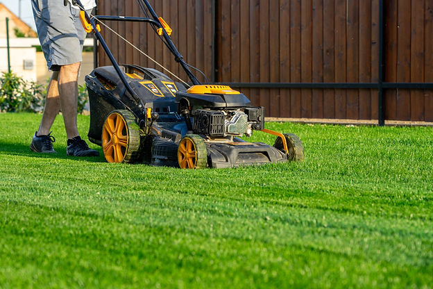 Man mowing green lawn with gas mower