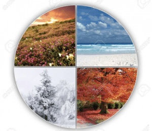 Four seasons graphic