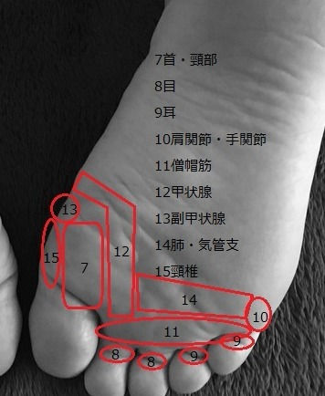 足指付け根周辺の足つぼ