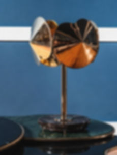 SEEDS Table Lamp 2-50-50-50-50.jpg