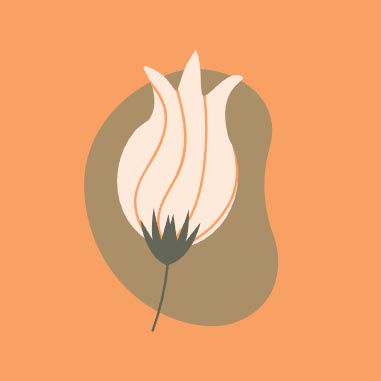 flower representing a child