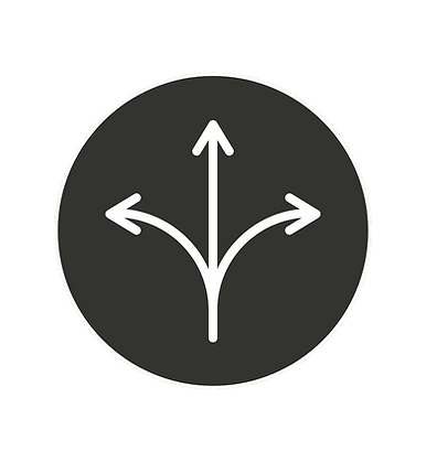 Pferdefairsichert_Bild_Website (14).png