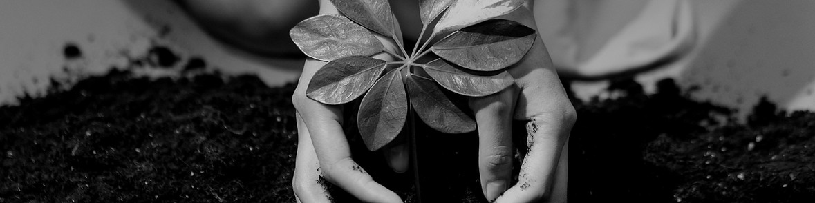 pexels-ron-lach-7944396_edited_edited.jp