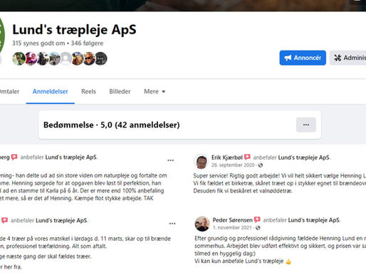 Tilbud på træfældning