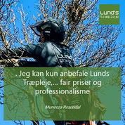 Træpleje