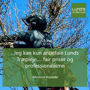 Træpleje