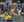 July 2026 frc team 4810 i.am.robot newsletter