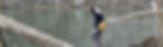 AboutHeaderImage-01.jpg